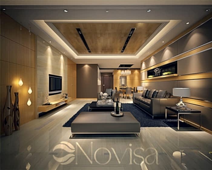 Novisa